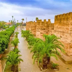 Excursión privada de 1 día desde Agadir a Taroudant y Oasis de Tiout